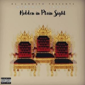 Studio album - Hidden in plain sight